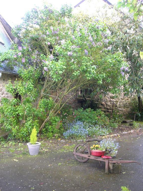 Gites De La Ferme Auberge De Mesauboin Billé Eksteriør billede
